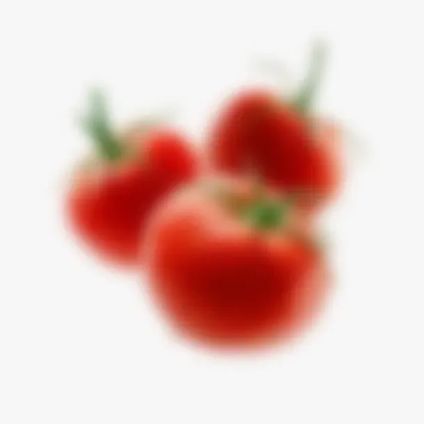 Picchiotti Pasta Fresca Celebrity pomodori freschi
