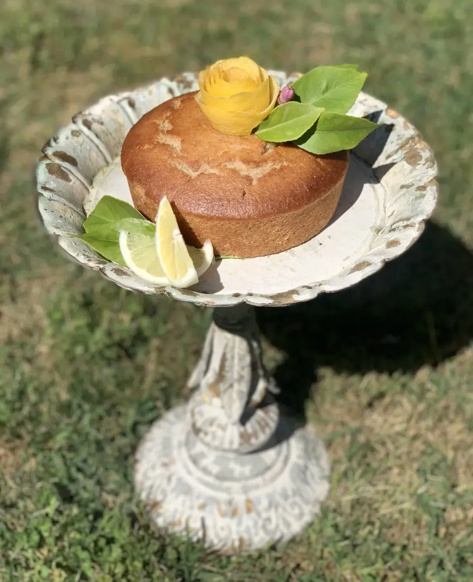 Top Italia Limone Veg dolce vegano al limone