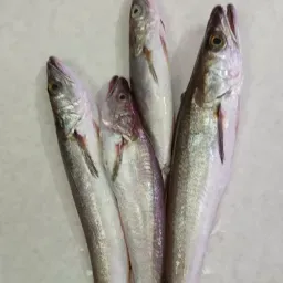 LAZIO Km0 Merluzzetti da Fritto pesce fresco