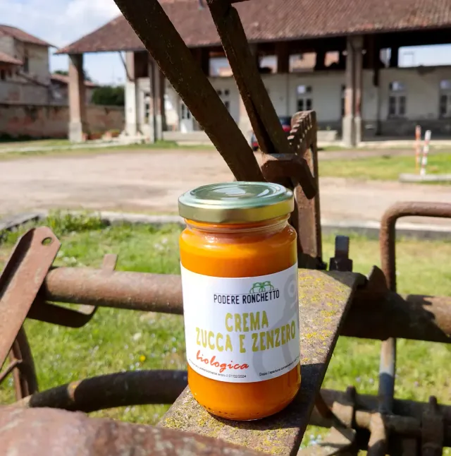Top Italia Crema Zucca e Zenzero crema con zenzero