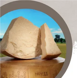 Top Italia Grana Tipico Lodigiano formaggio 500 g