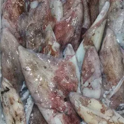 LAZIO Km0 Calamaretti cannellini pesce fresco pulito