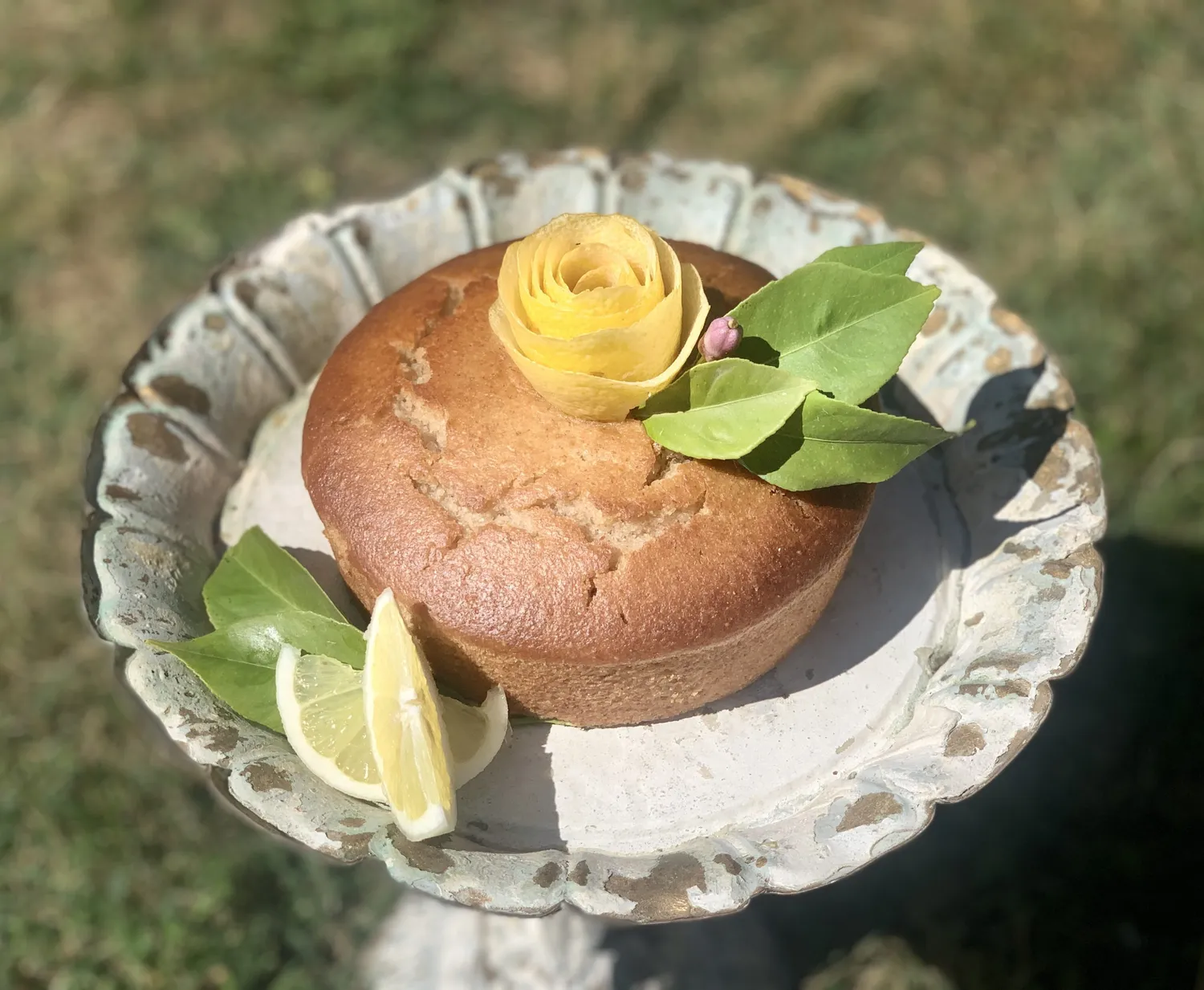 Top Italia Limone Veg dolce vegano al limone