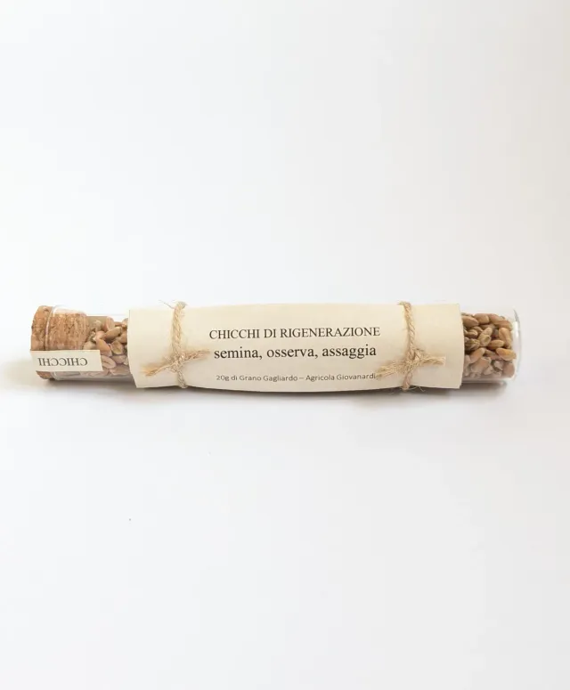 Agricola Giovanardi Kit Chicchi rigenerazione semi grano gagliardo