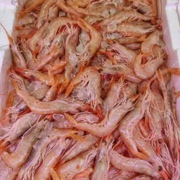 Lazio Km0 Gambero rosa pesce fresco FAO 37