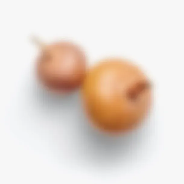 Picchiotti Pasta Fresca cipolle fresche bulbi