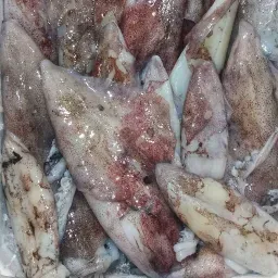 LAZIO Km0 Calamari pesce fresco pulito FAO 37