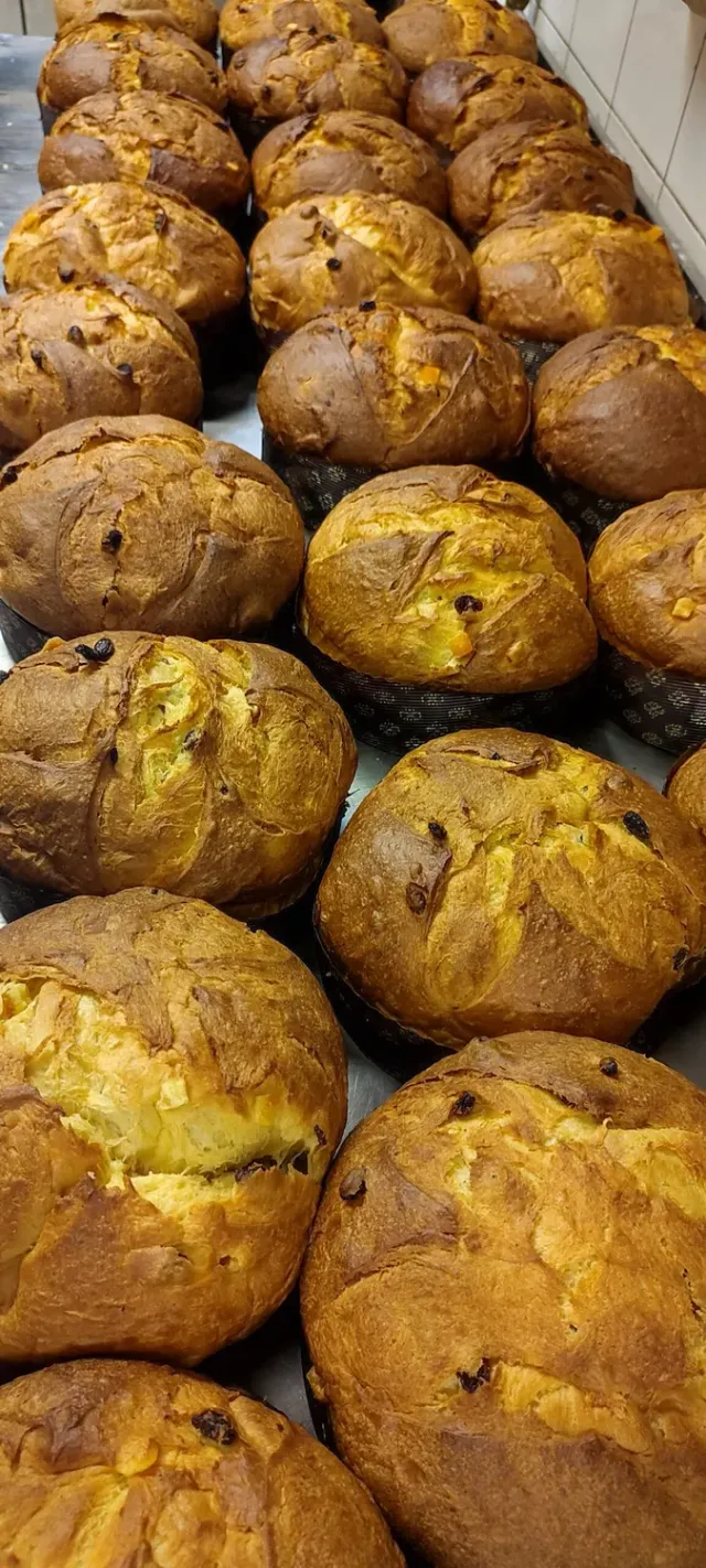 LAZIO Km0 Panettone arancia e uvetta dolce artigianale