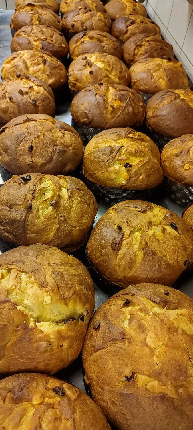 LAZIO Km0 Panettone arancia e uvetta dolce artigianale