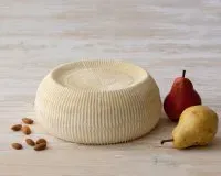 Top Italia Pecorino formaggio stagionato