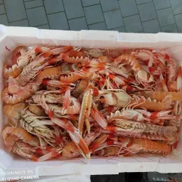 LAZIO Km0 Scampo Locale pesce fresco al forno