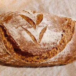 LAZIO Km0 pane di farro spelta pane con lievito madre