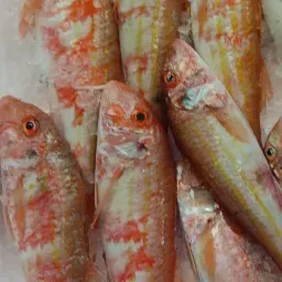 LAZIO Km0 Triglietta da frittura pesce fresco pulito
