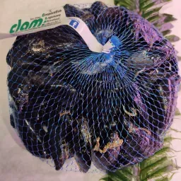LAZIO Km0 Cozze fresche allevate Mytilus FAO 37