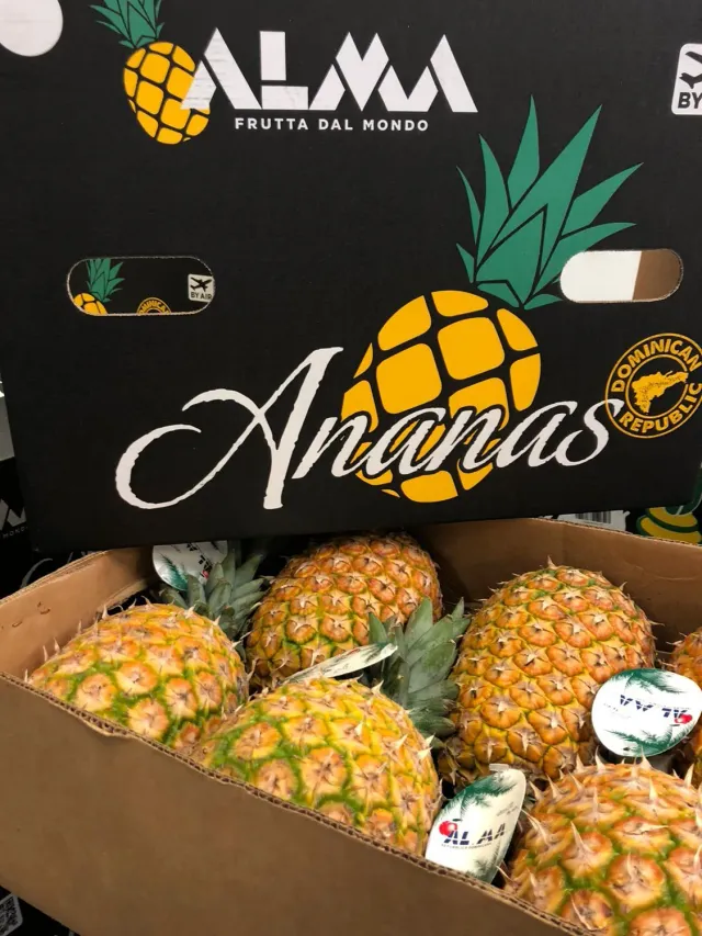 Top Italia ananas fresca intera dolce