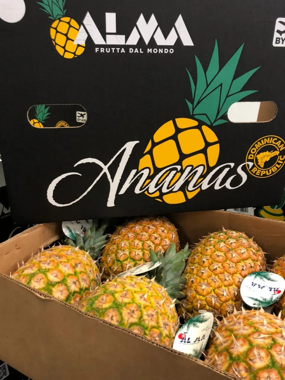 Top Italia ananas fresca intera dolce