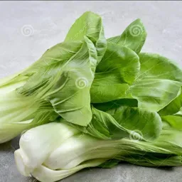 LAZIO Km0 Cavolo Pak Choi verdura fresca
