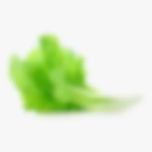 Picchiotti Pasta Fresca lattuga insalata fresca foglie